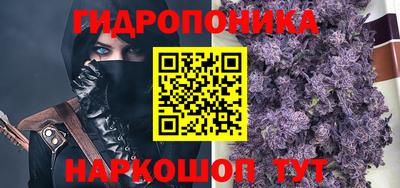 прущие грибы Изобильный