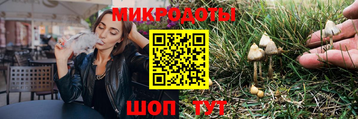 Псилоцибиновые грибы Psilocybine cubensis Куйбышев